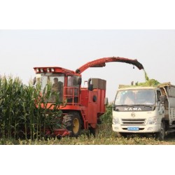 1-BIGDEL 4 SIRALI MISIR SILAJ MAKİNESİ